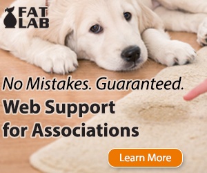 puppy mistake web advertisement
