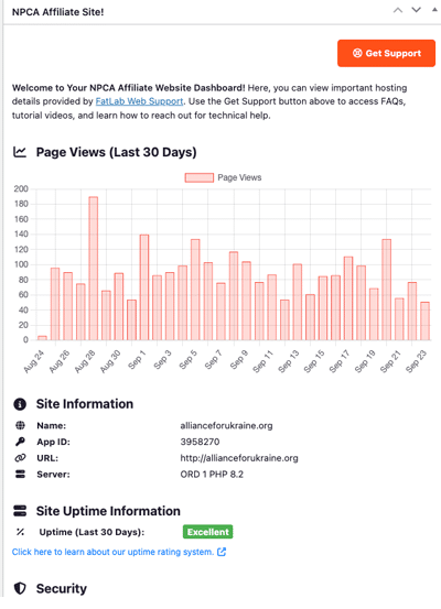 WordPress stats widget