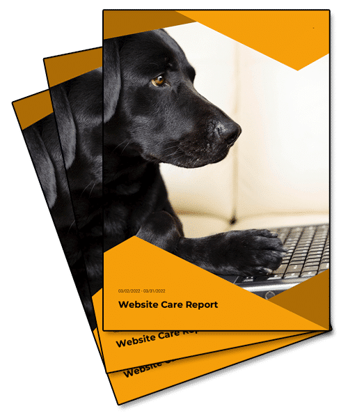 web hosting for nonprofits monthly report