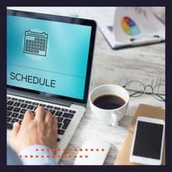 website development schedule