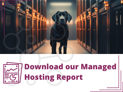 download our managed hosting report