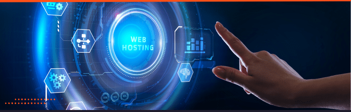 website hosting cost