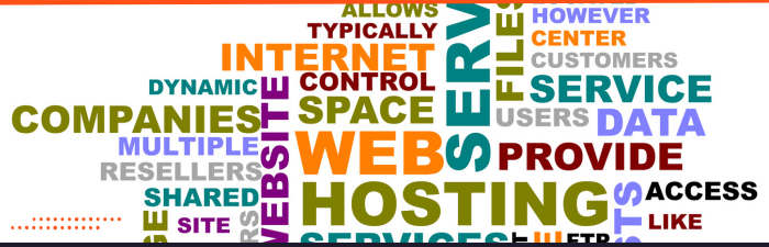 web hosting package