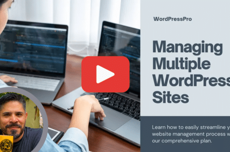 Efficiently Managing Multiple WordPress Sites with One Comprehensive Plan